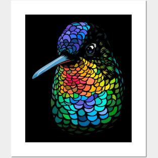 Hummingbird Colors Posters and Art